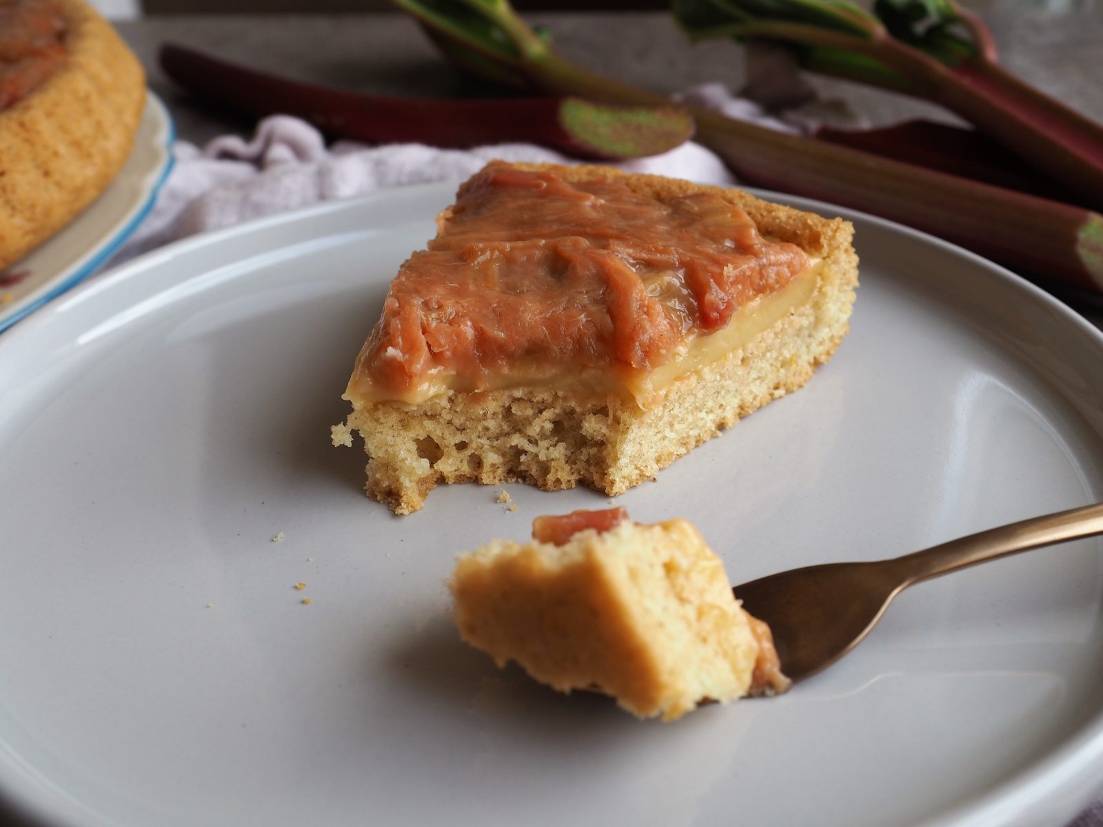 Veganer Rhabarberkuchen mit Pudding und Biskuitboden Details Anschnitt
